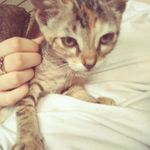 Kami - @kami.m.perkins - Instagram