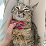 @kami_pottery222 - Instagram