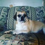 Kami Reed - @viper_kami - Instagram