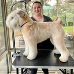 Kami Rice NCG - @dog_grooming_by_kami - Instagram