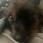 Kami Rock - @kamirock12 - Instagram