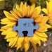 Kami Smith - Facebook