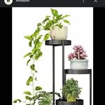 Kami Rosa - @cartier3597 - Instagram