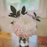 Kami Todd - @kamsey_pnp - Instagram
