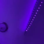 Kami Walton - @kami_3874 - Instagram