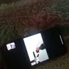 Kamila Whitehead - @kamila.whitehead - TikTok