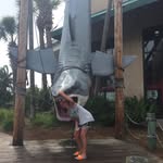 Kami Willis - @kbkwillis - Instagram