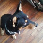 rocky brown - @kamiabrown2003 - Instagram