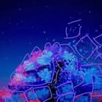 Kamil Cisek - Facebook