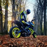 Kamil Daniel - @kamil_daniel01 - Instagram