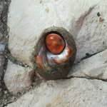 Kamil. Duda - @kamil._duda - Instagram