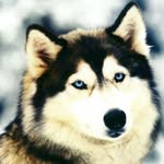 Kamil Duda - @kamilduda789 - Instagram