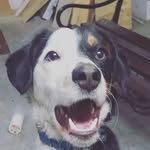 Kamil John - @kamixpriv2008 - Instagram