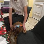 Kamil Lambert - Facebook