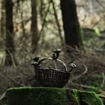 kamil lange - @kamillangeceramics - Instagram