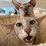 Kamil Lisowski - @_lisowsky_ - Instagram