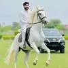 MALIK 804 - @kamilmalik80 - TikTok