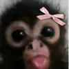 Kamila Ramirez - @kamila.ramirez85 - TikTok