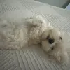 kami🍦 - @kamila_sanchez - TikTok