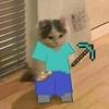 Kamil Sanchez - @kamil.sanchez4 - TikTok