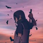 Kamil Suja - @suja_4 - Instagram