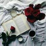 Sujata Kamila - @sujata.kamila.585 - Instagram