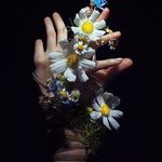 Kamilla - @wittykami - Instagram