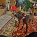 Kamille Wallace - Facebook