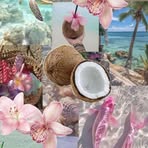Kamila Matras - Facebook