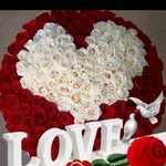 Kamini King - @king_kamini - Instagram