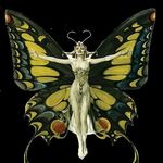 Kammy Hill - @vintagebutterfly66 - Instagram