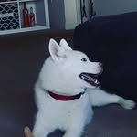 kamora williams - @kamora.williams - Instagram