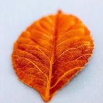 kamran akhavan - @mehdiakhavan66 - Instagram