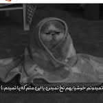 kambran - @kamran__baluchi - Instagram