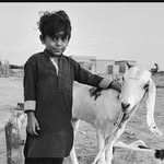 Kamran baluch - @baluch6242 - Instagram