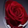 Kamran Hakim - @kamran.hakim8 - TikTok