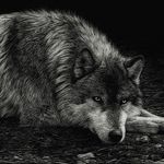 kamran mammadov - @mammadov_kamran - Instagram