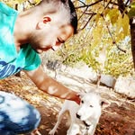 kamran.najafi - @kamran.najafi7 - Instagram