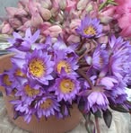 Kanchana Pradeep Kumara - Facebook