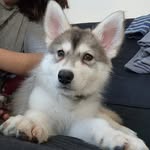 Kanda Ryan - @lightningpanda4 - Instagram