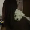 kandacee - @kandace.kent - TikTok