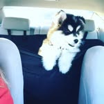 Kandace Johnson - @kandace5389 - Instagram