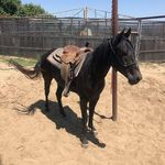 Candace Patton - @cowgirlcandy5150 - Instagram