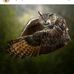 Kandi Barnes - Facebook