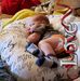 Kandi Copeland - Facebook