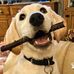 Candy Daniels - Facebook