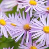 Kandi Hiller - @kandihiller - TikTok