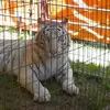Kandi Junkert - @kandi.junkert - TikTok