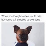 @kandirose - Instagram