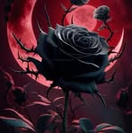 Candi Sanchez - Facebook